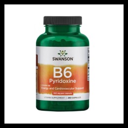 Swanson Vitamin B-6 100 мг 250 капс