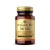 Solgar Vitamin B2 100 мг (Riboflavin) 100 капс