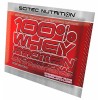 Scitec Nutrition 100% Whey Protein Professional 30 г 