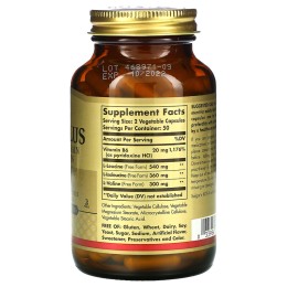 Solgar BCAA Plus в свободной форме 100 растительных капсул