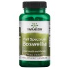 Swanson Full Spec Boswellia 800 мг 60 капс
