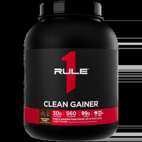 Rule 1 Clean Gainer 2240 г