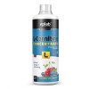 VPLab L-Carnitine Concentrate 1000 мл.