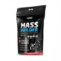VPLab Mass Builder 5000 г