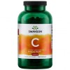 Swanson Vitamin C Rose Hips 1000 мг 250 капс